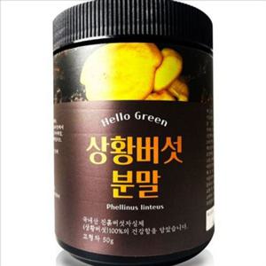 뽕나무 국산 상황 버섯 먹는 국내산 상황 버섯 분말 50g