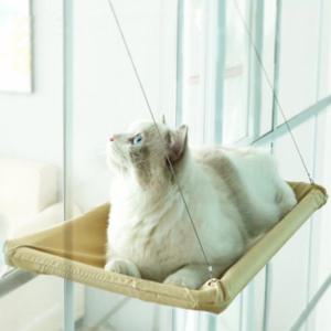 D 고양이해먹 창문 부착형 윈도우 캣타워 해먹 반려용품