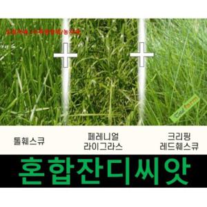 혼합종자 잔디씨 잔디종자 법면녹화 경사면녹화 1kg
