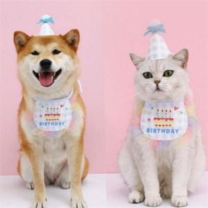 반려동물 생일 용품 강아지 생일 용품 고양이 턱받이 파티 모자 스카프 체크
