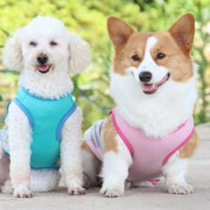 강아지 여름 쿨조끼 8XL 쿨티 반사 쿨링 베스트