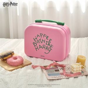 미니캐리어 레디백 핸드케리어 파우치보조백 미니여행가방