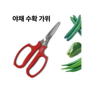 루미나D 과일 야채수확가위 피망 오이 수확가위 편안한 그립감 남녀노소 사용