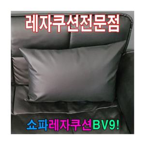 루미나D 쇼파쿠션bv9쇼파쿠션쿠션40cmx60cm레자쇼파쿠션