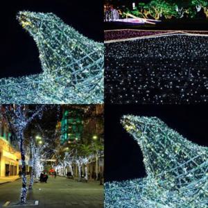 300구 녹색선 LED 백색 지니전구 30M 전원잭포함 공원 야외테라스