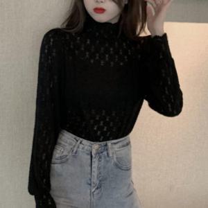 레이스 터틀넥 시스루 블라우스 여성 망사