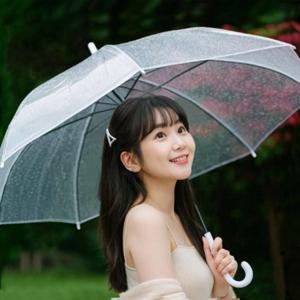 예쁜 투명 우산 비닐 가벼운 자동 10개 튼튼한 오는