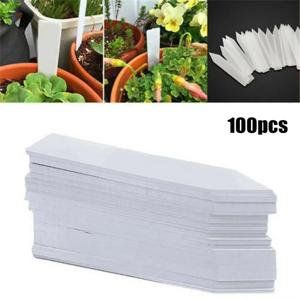 100pcs 정원 식물 라벨 식물 액세서리 꽃 냄비 플라스틱 식물 태그 보육 마커 라벨 트레이 마크 DIY 도구