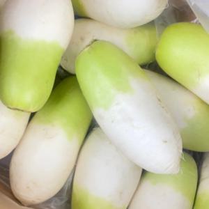 제주무 세척무 월동무 흙무 10kg