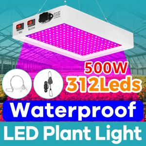 500W 식물 성장등 LED 풀 스펙트럼 퀀텀 보드 램프 실내 꽃 온실 채소 재배 수경재배 성장등