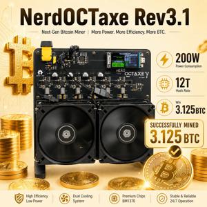 새로운 Nerdoctaxe Rev3.1 12Th/s 200W 오픈 소스 BTC BCH DGB 홈 암호화폐 채굴기