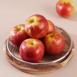 25년 첫 수확 햇 꿀~사과 홍로사과 정품 [2kg/9~10과] 외