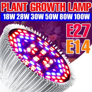 LED 풀 스펙트럼 식물 생장등 E27 램프 (식물용) LED 실내 수경재배 성장 전구 18W 28W 30W 50W 80W 100W 재배등