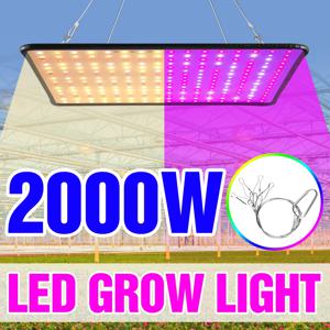 1000W 성장등 LED 풀 스펙트럼 램프 1500W 2000W LED 식물등 전구 온실 실내 식물등 재배 텐트 미국 EU 영국 플러그