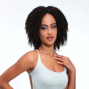 Blice Afro Kinky Curly 중간 부분 클로저 가발 천연 혼합 합성 머리 가발 여성용 16 인치 블랙 컬러
