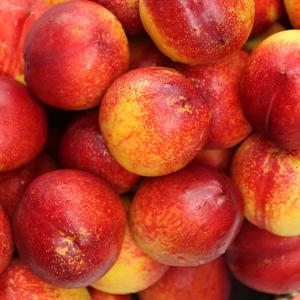 산지직송 국내산 아삭달콤 신선복숭아 1kg, 2kg