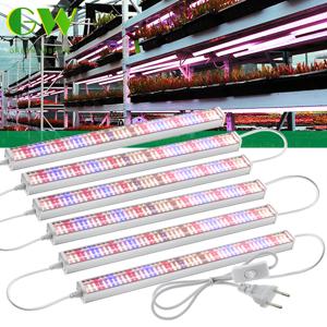 전체 스펙트럼 AC100-265V SMD2835 식물에 적합 과일 나무 야채 다육 식물 꽃 알루미늄 하우징 LED 성장 빛 ﻿