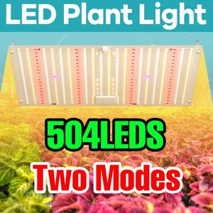 504LEDS 풀 스펙트럼 식물 성장등, 채소/꽃 2가지 모드, AC100-277V, 수경재배 성장 박스, 온실 텐트, 묘목 재배 램프