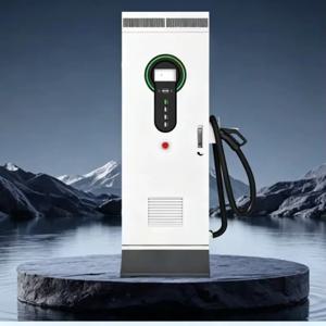 30kW AC 40kW DC 고속 전기차 충전기 벽걸이형 CCS1/CCS2 상업용 전기차 충전소 AC380V 입력 0-250A 출력 전기차용