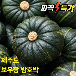 [20%할인] 고당도 단호박 보우짱 밤호박 2kg 3kg 5kg 10kg