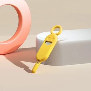2 in 1 SIM 카드 제거 바늘핀 분실 방지 보호 홀더 포함 SIM 카드 보관 케이스 휴대폰 액세서리 키링