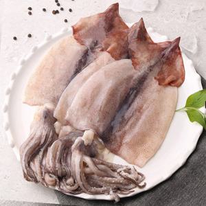 손질 활복오징어 대(L) 1팩(3미) 400~500g｜1미기준 130~150g 진공포장 HACCP