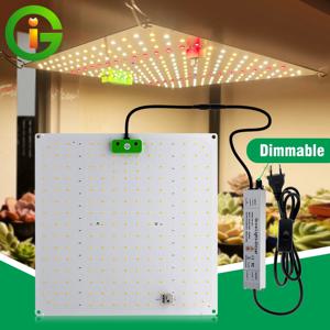 65W LM281B 풀 스펙트럼 LED 식물등, 디밍 가능, 햇빛과 유사한 성장등, 실내 식물, 꽃, 온실 텐트용