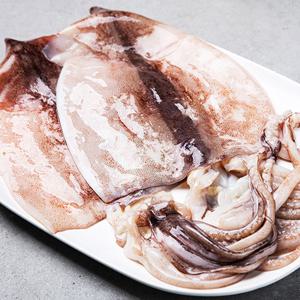 손질 활복오징어 특대(XL) 1팩(3미) 500~600g｜1미기준 160~180g 진공포장 HACCP