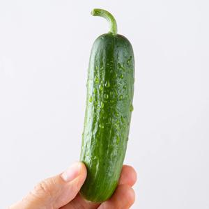 아삭 아삭 햇 특품 미니오이 스낵오이 1kg 외