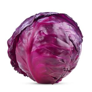늘바른 국내산 친환경 무농약 적양배추500g 3개 1.5kg