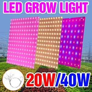 LED 실내 식물 빛 전체 스펙트럼 LED 성장 패널 식물 램프 재배 심기 꽃 모종 수경법 성장 상자