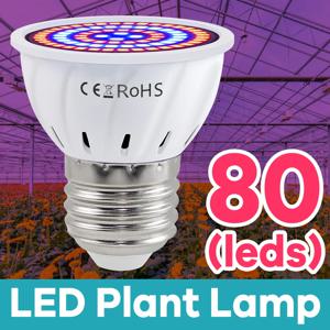 식물 성장등 LED 전구 AC220V E27 풀 스펙트럼 GU10 수경재배 B22 씨앗 재배 램프 MR16 다육식물 E14 성장 조명