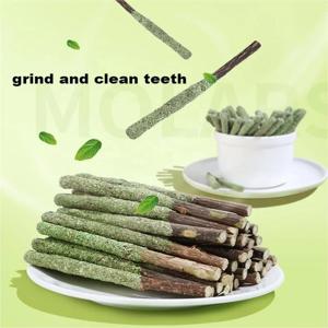 6pcs 자연 Matatabi 고양이 스틱 민트 잡힌 물린 흥미로운 막대 Silvervine 고양이 치아 치료 치료 애완 동물 공급 고양이 장난감