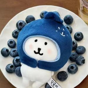신제품 잘 팔리는 자조형 곰 인형 블루베리 헤드기어 귀여운 인형 드레스업 인형 옷 헤드기어