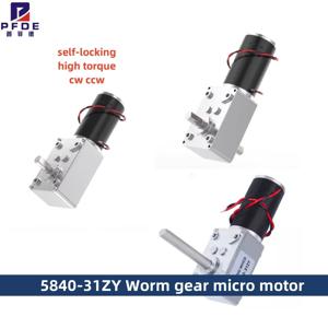 5840-31ZY 자동 잠금 고 토크 터빈 웜 감속기 모터 DC 12V 24v 7RPM~470RPM 속도 조절 가능 DC 기어 모터