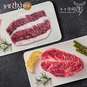 [구미우] 1++9등급 한우 부채살 250g+차돌박이 250g 구이용
