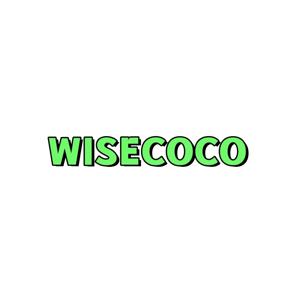 Wisecoco 특별 링크 특정 부품에 대한 전용 결제 링크