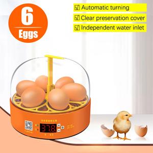6Eggs 가정용 미니 계란 부화기 자동 회전 온도 조절 번식 부화장 닭 새 메추라기 오리 농장 부화기