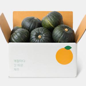 [깨비농원] 제주 미니미니밤호박 2kg/5kg