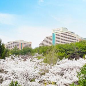 소노벨 단양  올인클루시브 3인PKG or 오션플레이 3인PKG (6/1/~8/22투숙까지) 객실 인원추가 비용 무료특전