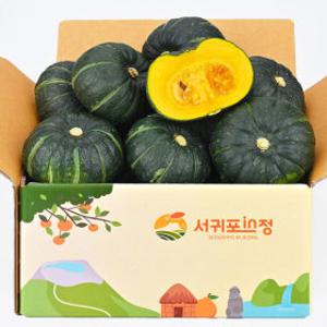 (신선집중) 서귀포인정 제주 미니 단호박 밤호박 보우짱 2kg(3~7과)/ 26년 첫수확 / 한정 할인 쿠폰