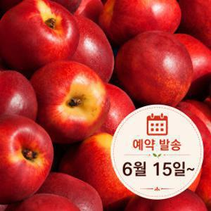 (신선집중) 제철 천도복숭아 2kg 새콤달콤 과즙가득 20-25과  6월 15일 예약배송
