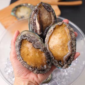 (신선집중) 청정 완도 활전복 1kg 6-7미 VIP왕특대 (완도직송) 신선도보장 손질솔증정(오늘까지만 앵콜특가)