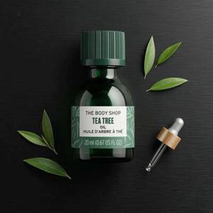 더바디샵 점보 티트리 오일 20ml