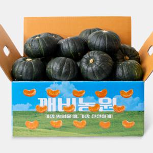 (깨비농원)제주 미니밤호박 보우짱 5kg(10-17개)