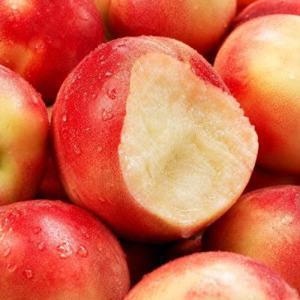 (신선집중/15%+NH10%) 신비 복숭아 중소과 5kg (55-69과) / 단 3주만 맛볼 수 있는 백도맛 천도복숭아
