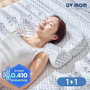 리브맘 메모리폼 아이스쿨링 냉감 바른자세 경추베개 2개