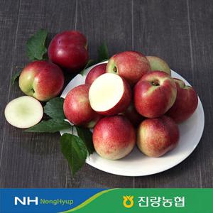 [사전예약]6.15출고/농협선별 고당도 경북 신비 복숭아 중대과 2kg (20-22과내외)