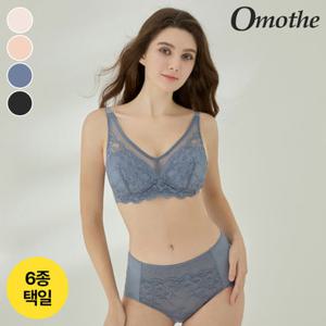 오모떼 쉐이프커버 블루밍 레이스 브라팬티 6세트/컬러택일
