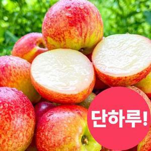 [단 2주만] 매력적인 신비복숭아 1kg (11-12과내외)
